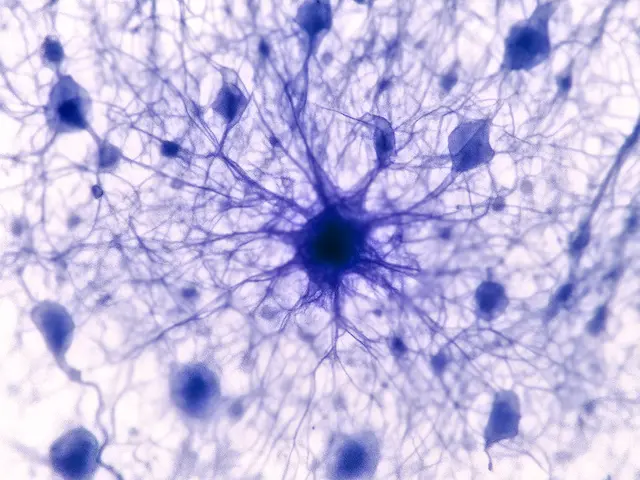 Astrocyte - Sistema de expediente clínico electrónico con IA